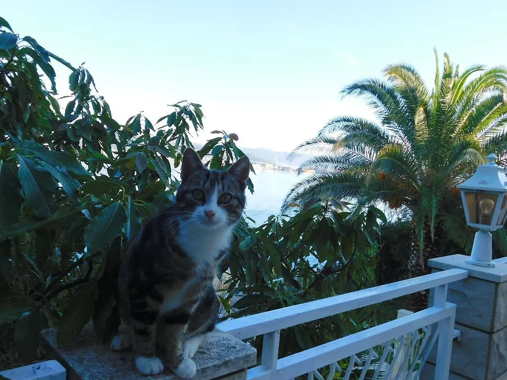 Villa Corona Donji Okrug  Hotel